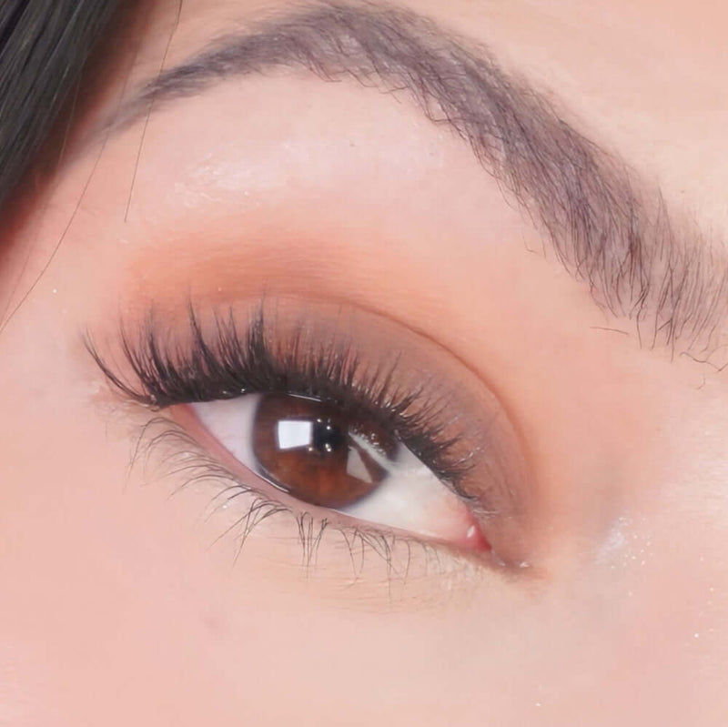 Dark Roast Lidschatten als brauner Augen-Look