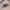 Lidschatten Fortune