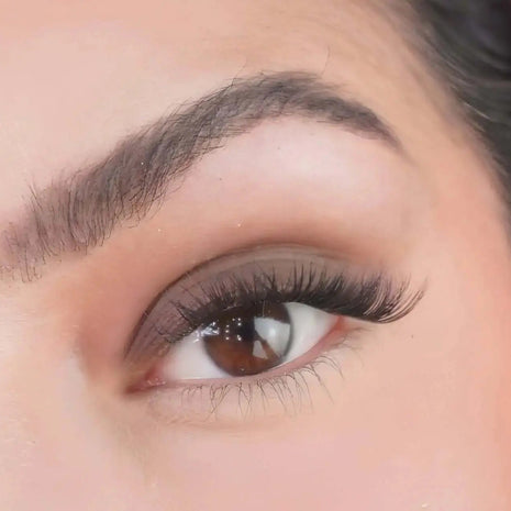 Café Noir Lidschatten als brauner Augen-Look