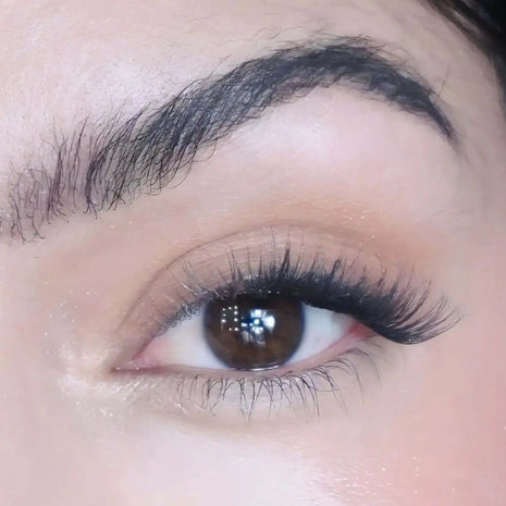 Glory Lidschatten als warmer Augen-Look